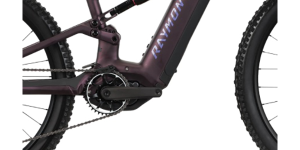 RAYMON Ravor Comp