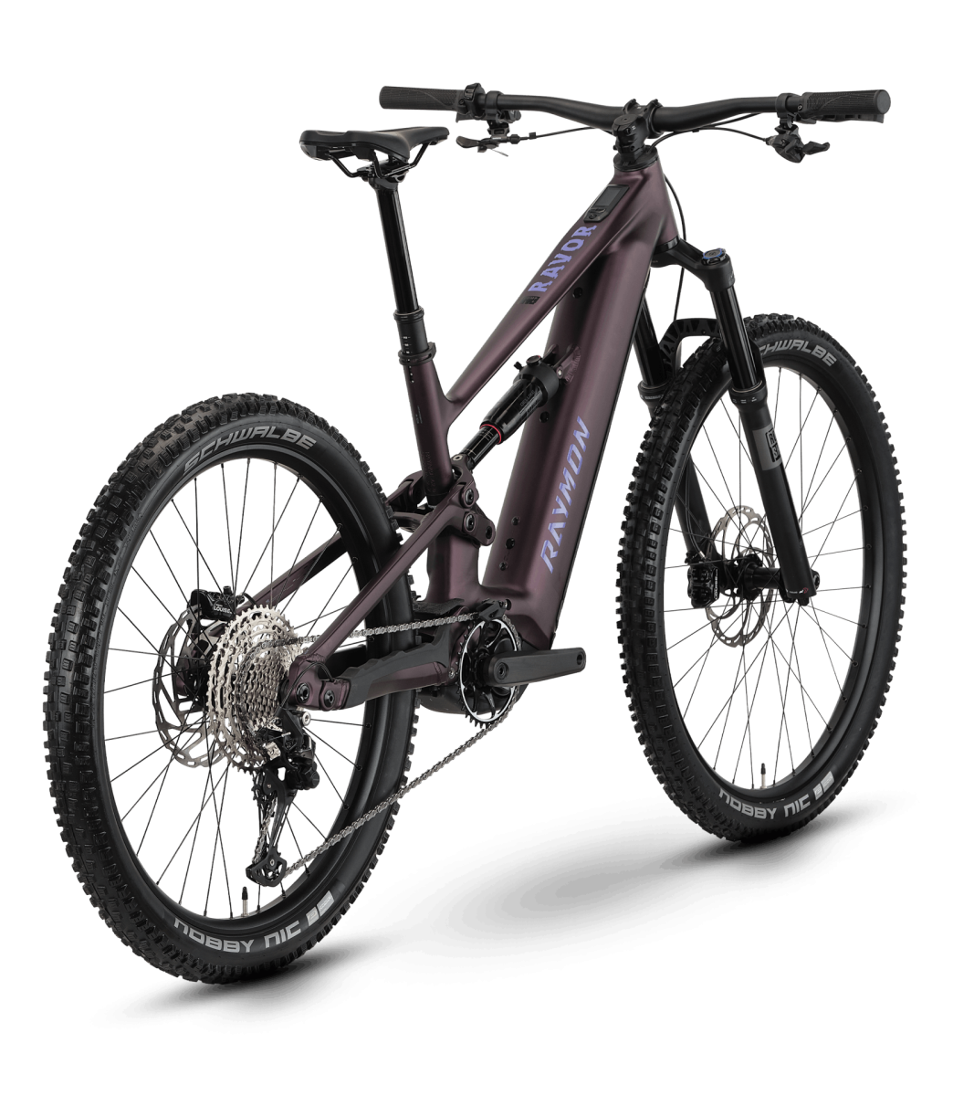 RAYMON Ravor Comp
