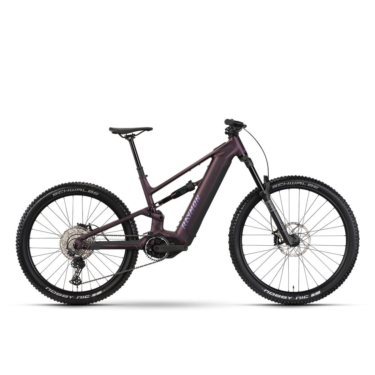 RAYMON Ravor Comp