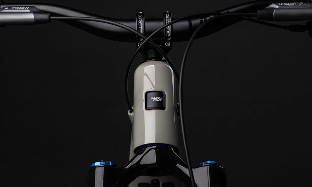 SANTA CRUZ details