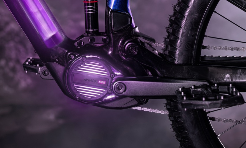 raymon tarok ultimate 2027 detail