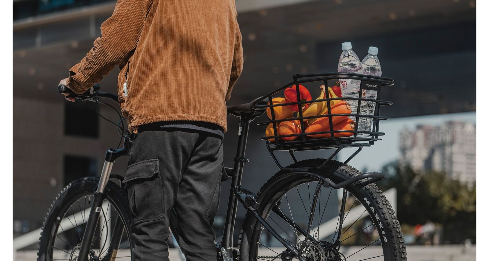 TOPEAK URBAN BASKET DX 22L ALUMINIUM