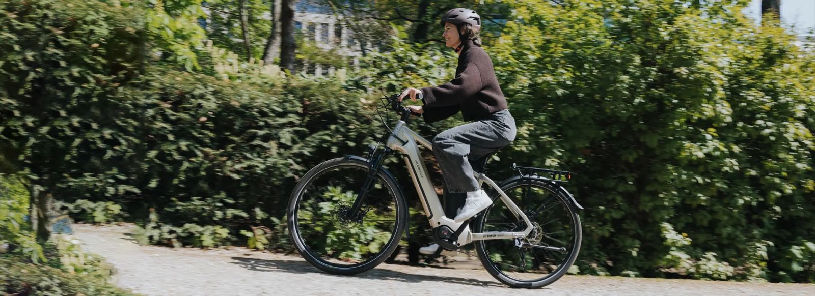 bosch active line plus
