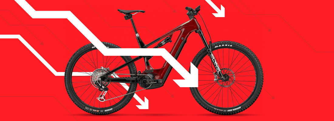 20 E-Bikes unter dem Herstellungspreis! Eine einmalige Gelegenheit.