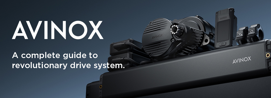 dji avinox main