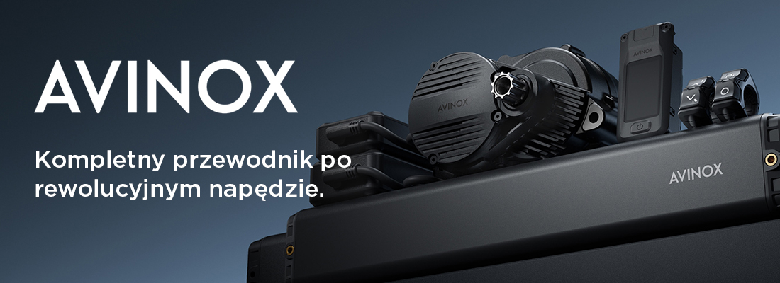 dji avinox main