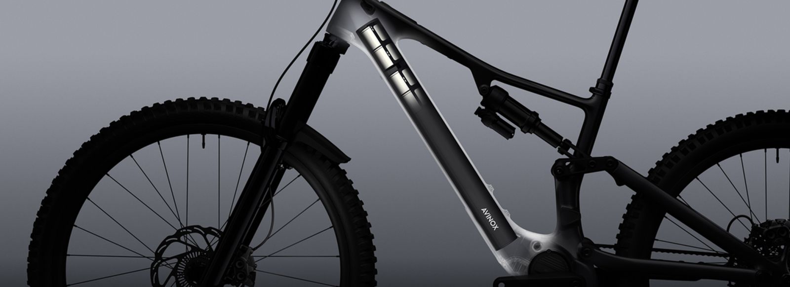 avinox battery