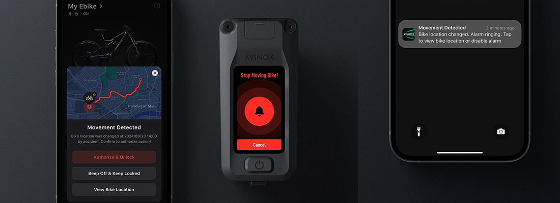 movement detection avinox