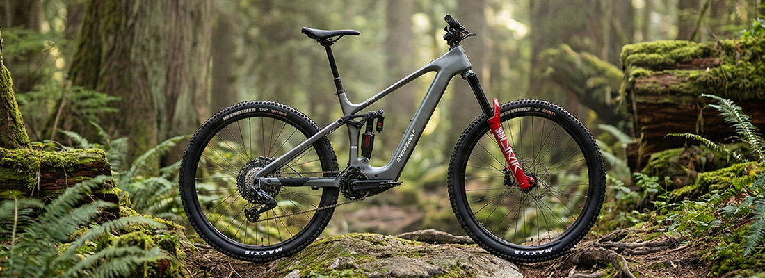 steppenwolf tundra 10 dji