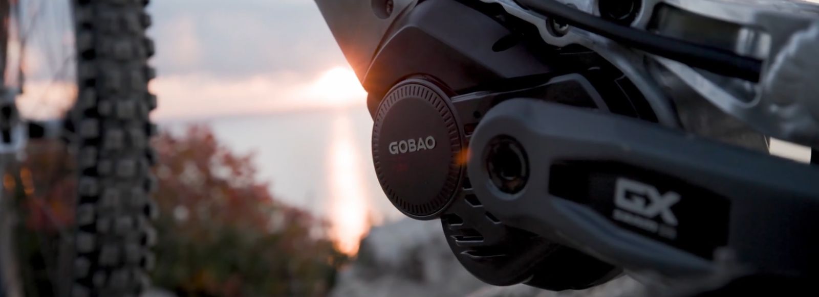 gobao p100 motor