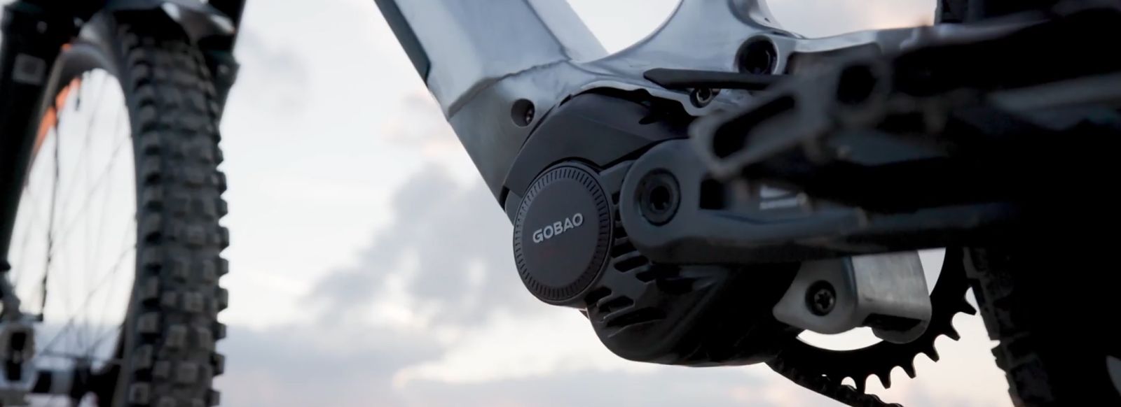 gobao p75 motor