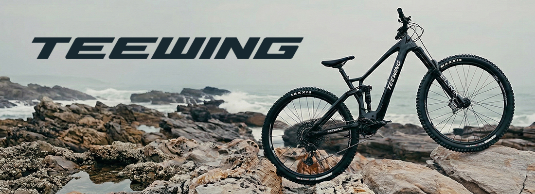 TEEWING: a new aggressive brand of e-bikes that is changing the rules of the game