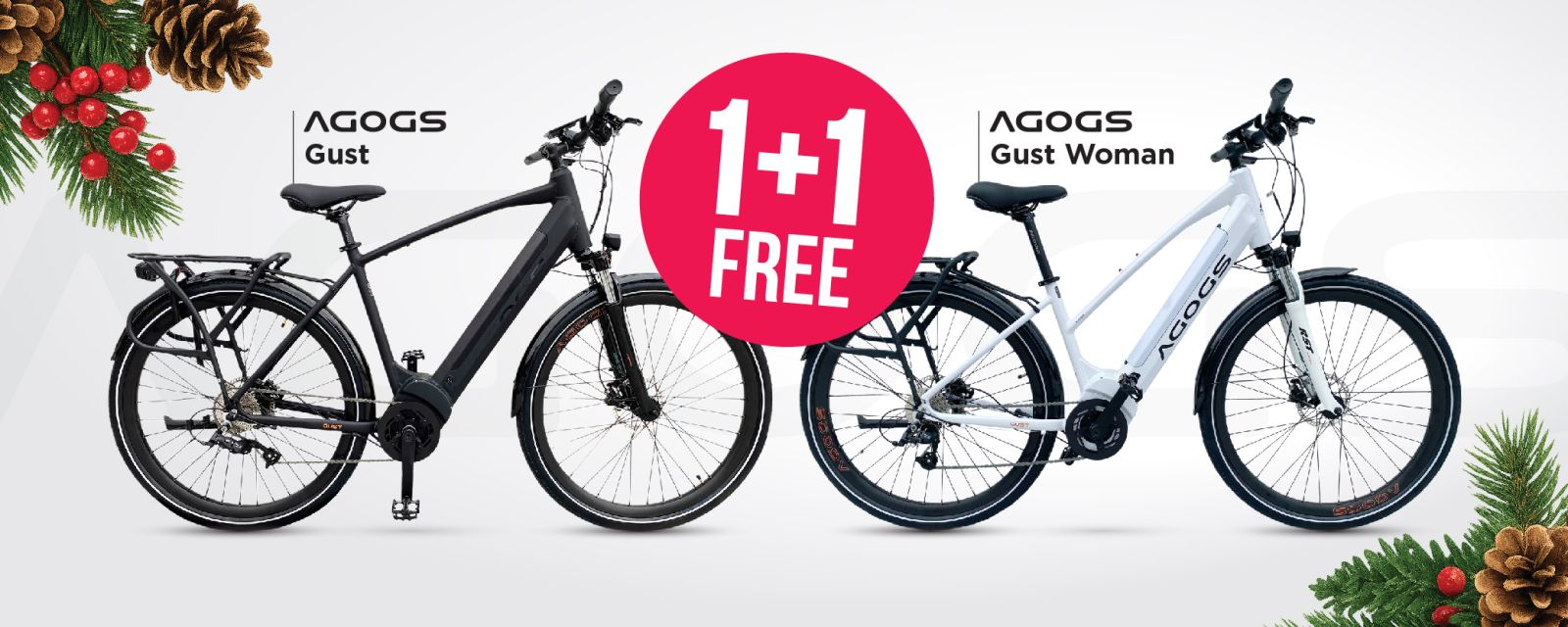 CHRISTMAS SUPER DEAL 1+1 FREE