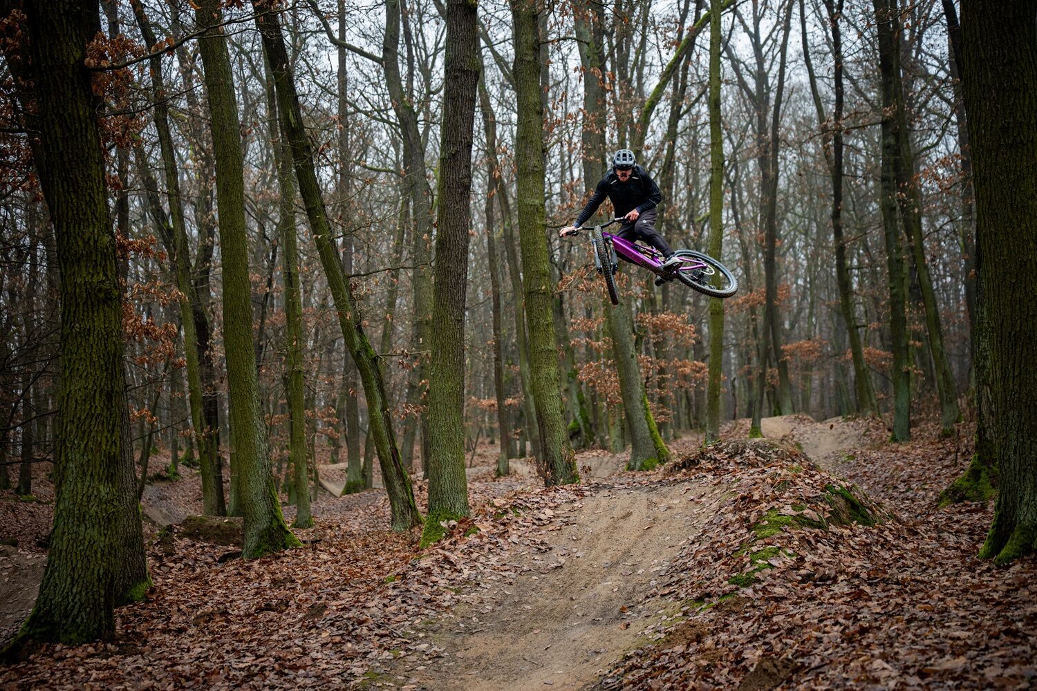 crussis e-full 12.11 pro x