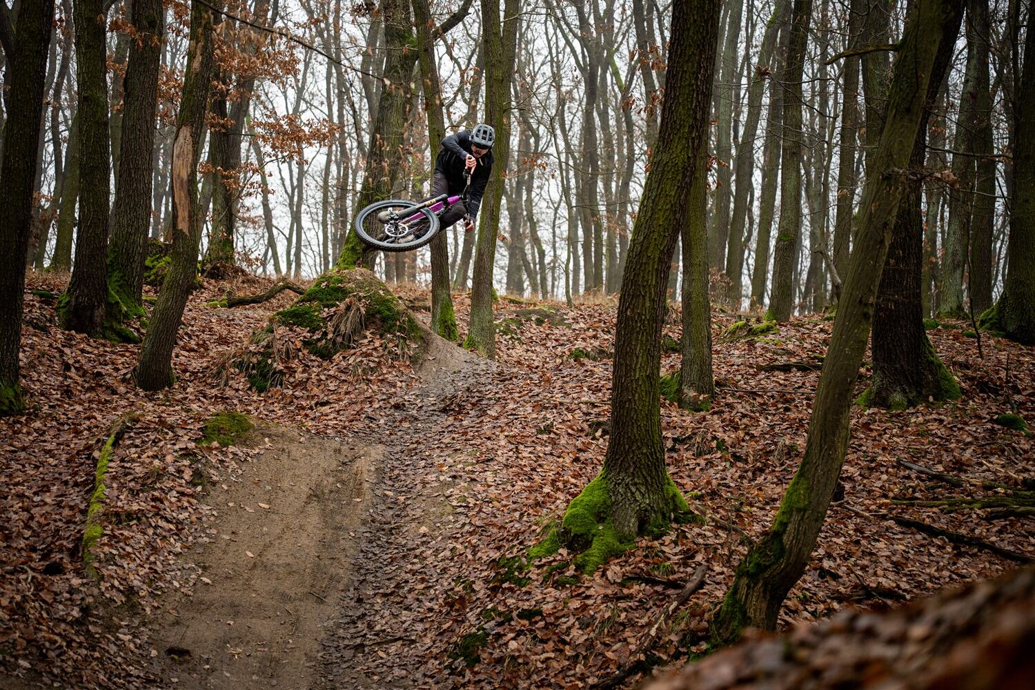 crussis e-full 12.11 pro x