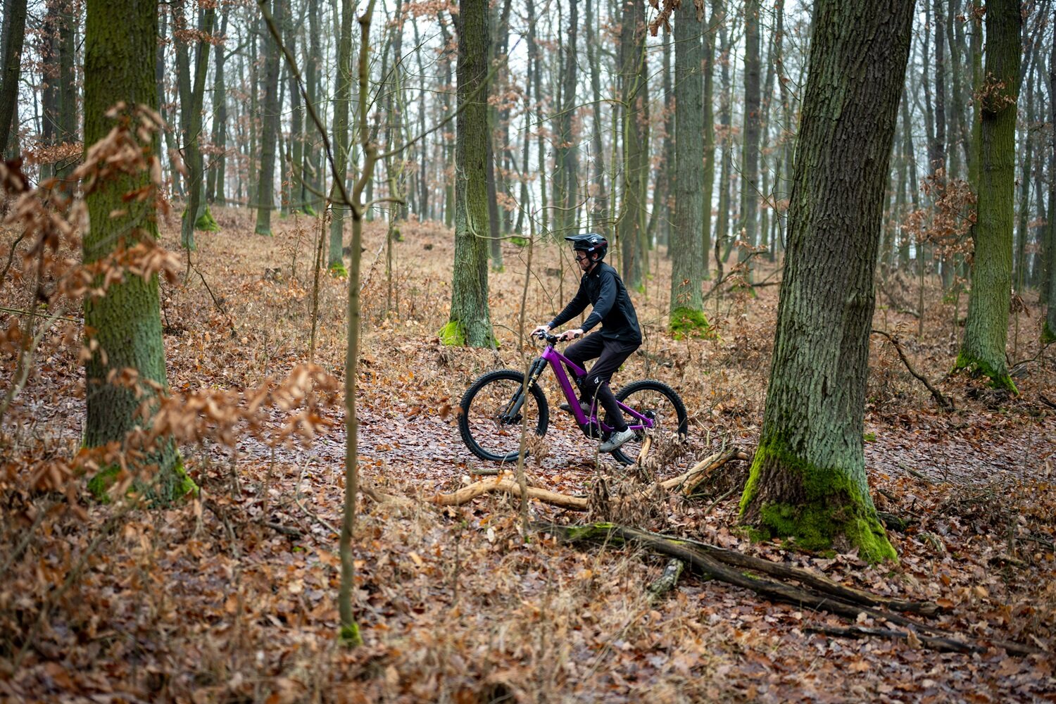 crussis e-full 12.11 pro x