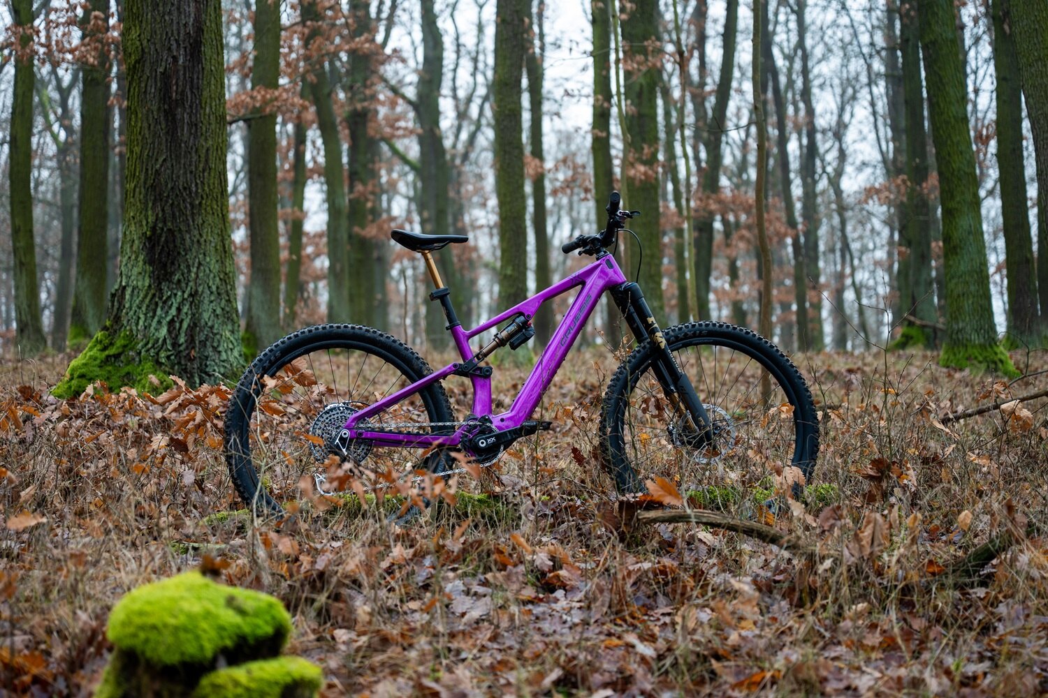 crussis e-full 12.11 pro x