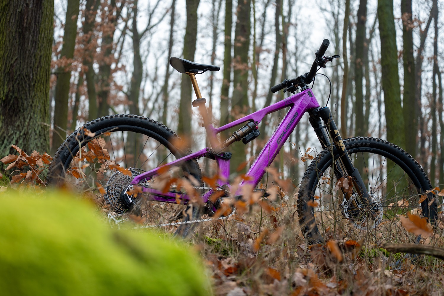 crussis e-full 12.11 pro x