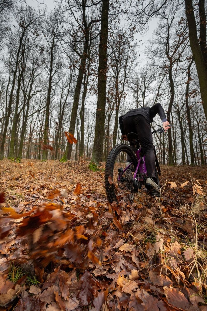 crussis e-full 12.11 pro x