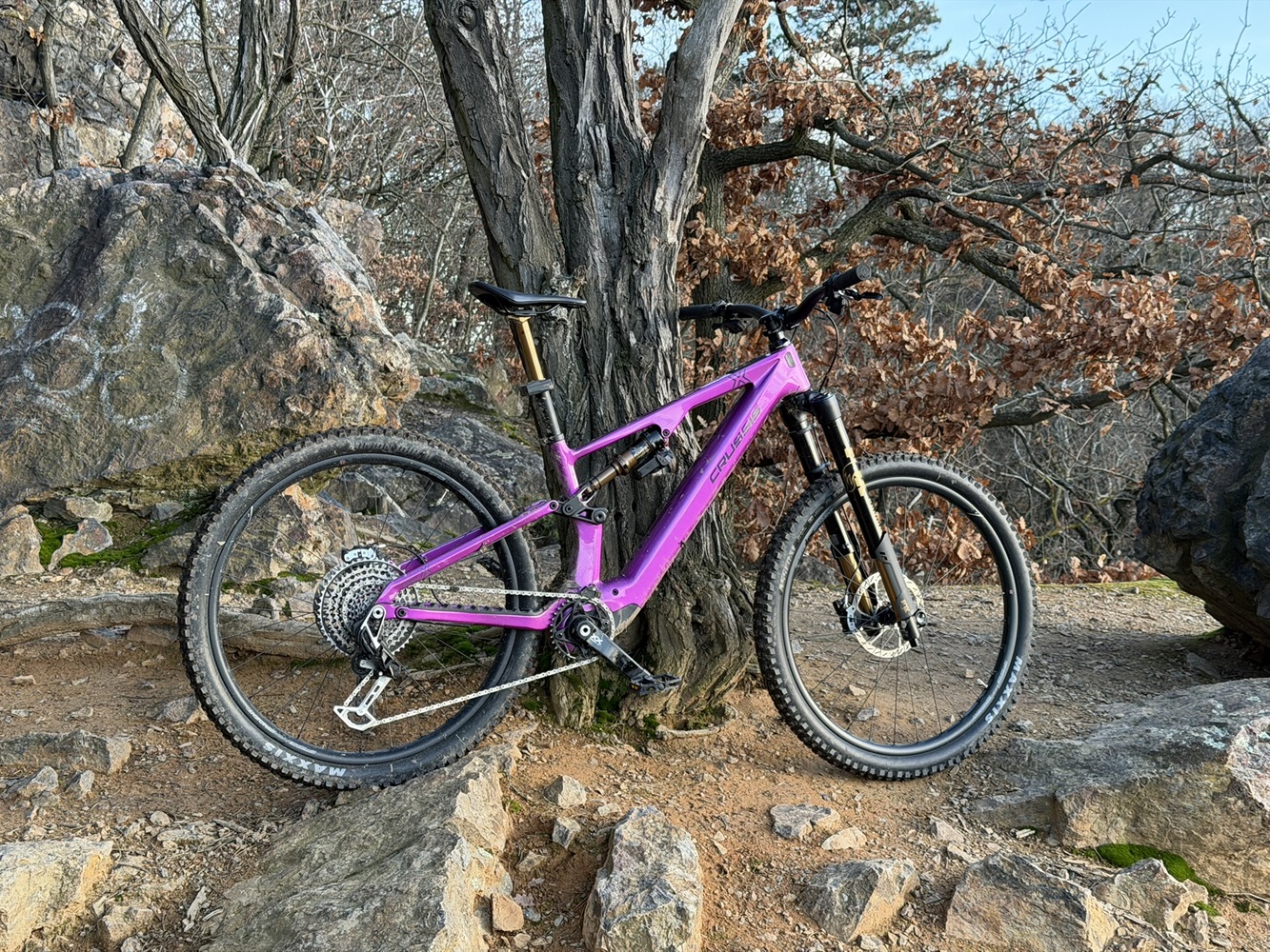 crussis e-full 12.11 pro x