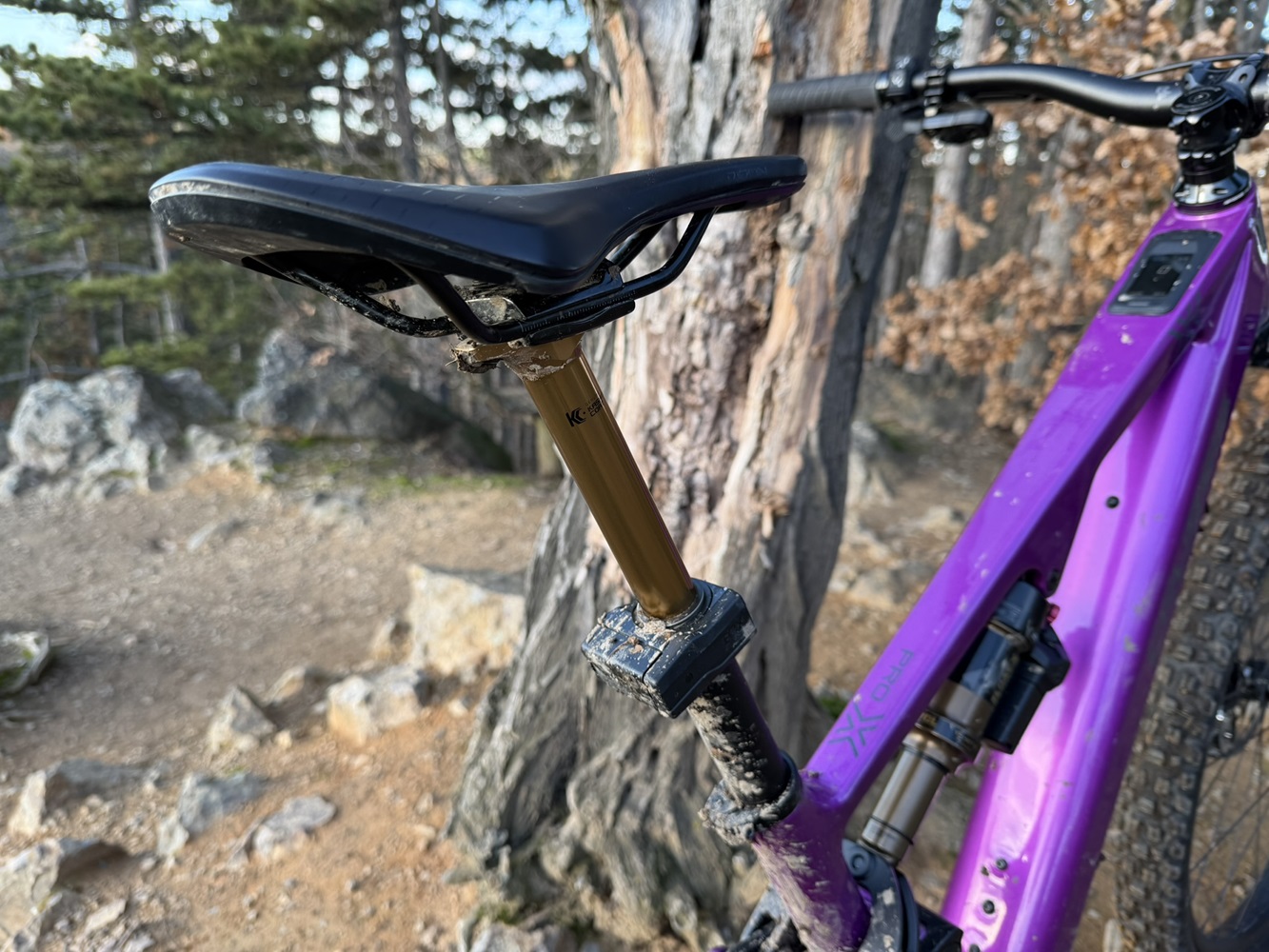 crussis e-full 12.11 pro x