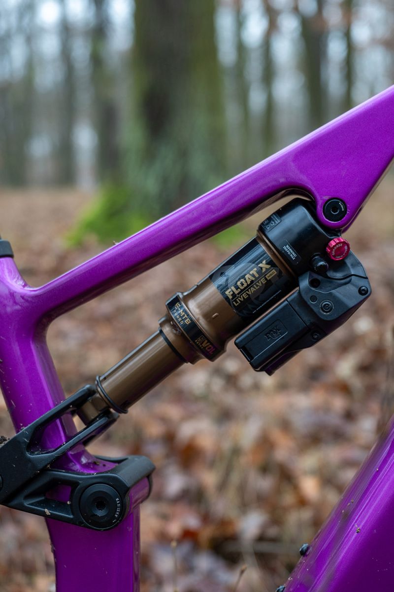 crussis e-full 12.11 pro x