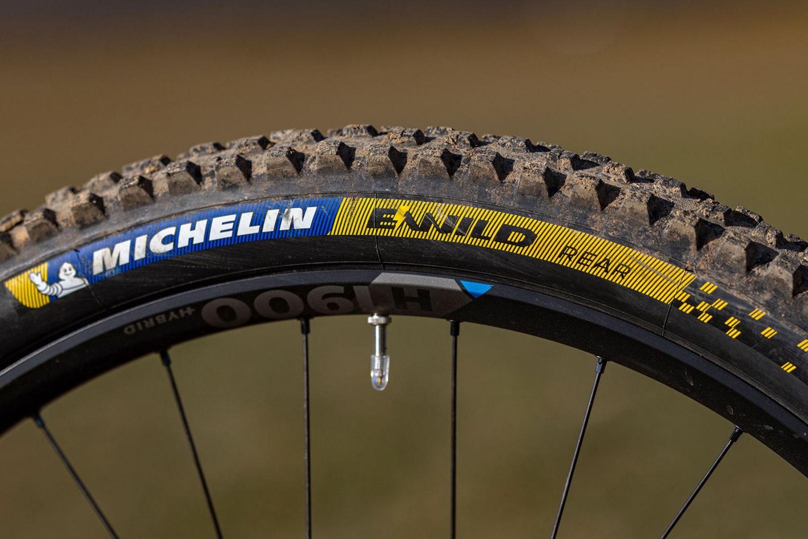 crussis e-race pro test