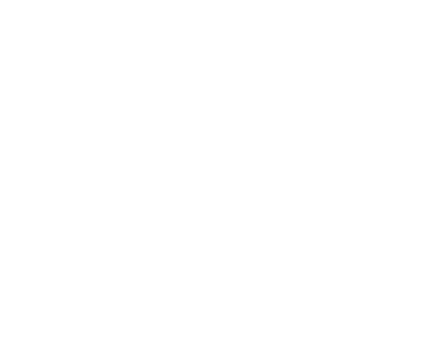 Manufacturer Liv