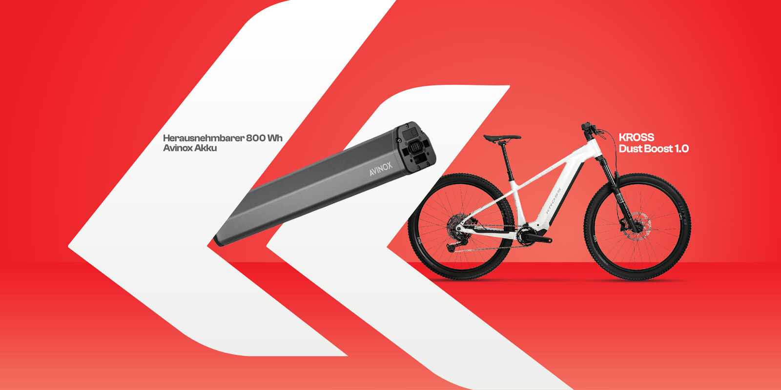 Kross Dust Boost 1.0 AUF LAGER