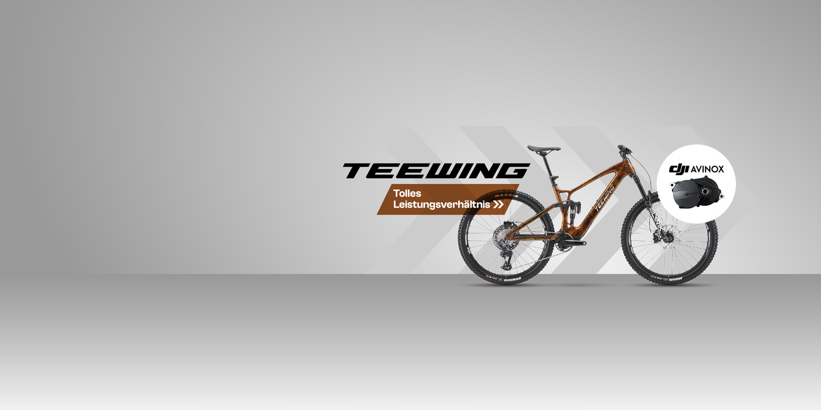 Neuheit: Teewing Bikes