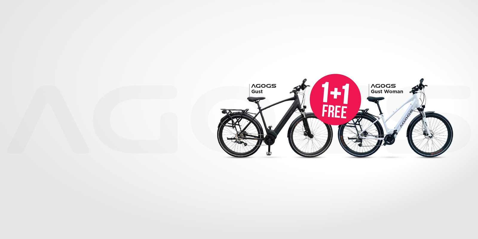 CHRISTMAS SUPER DEAL 1+1 FREE