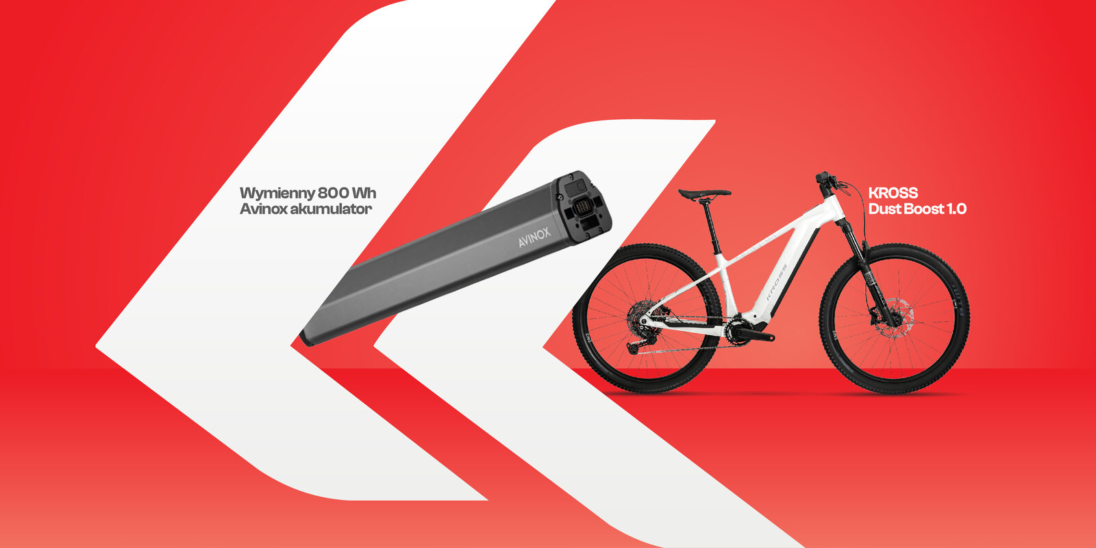 Kross Dust Boost 1.0 W MAGAZYNIE