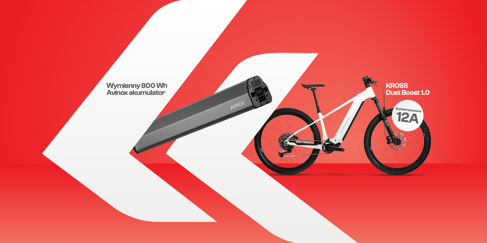 Kross Dust Boost 1.0 W MAGAZYNIE