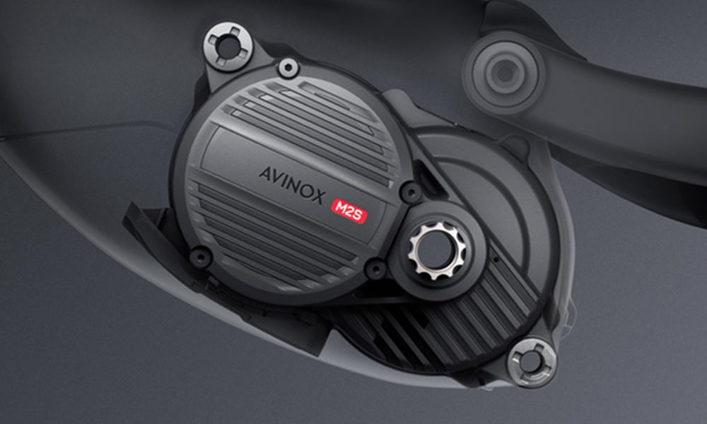 avinox M2S